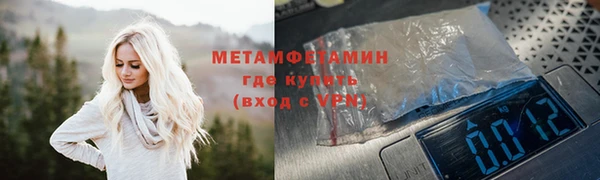 мет Алексин
