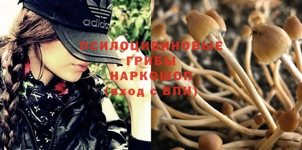 мет Алексин