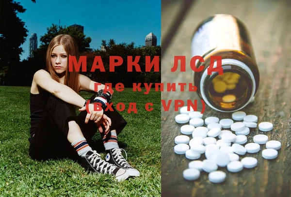 мет Алексин