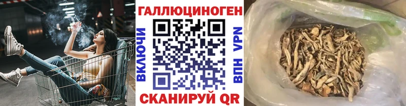Псилоцибиновые грибы мухоморы  как найти   darknet как зайти  Арамиль  гидра ссылки 
